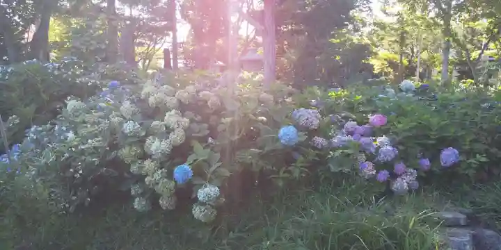 西野神社のその他建物