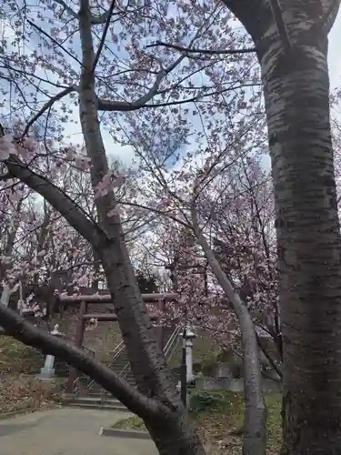 厚別神社(北海道)