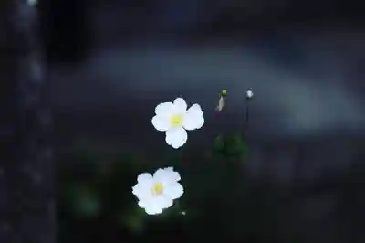 浄土寺(兵庫県)