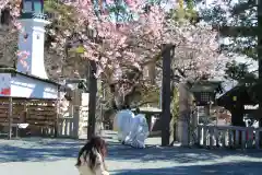 伊勢山皇大神宮の建物その他