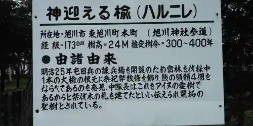 旭川神社の歴史