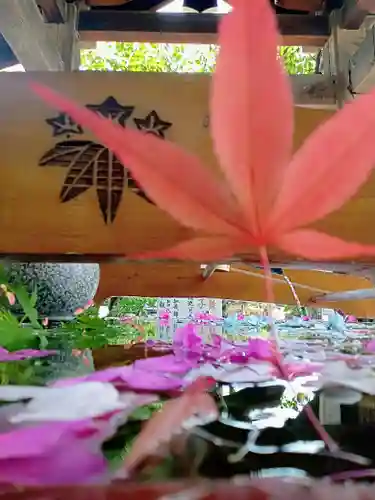 阿部野神社(大阪府)