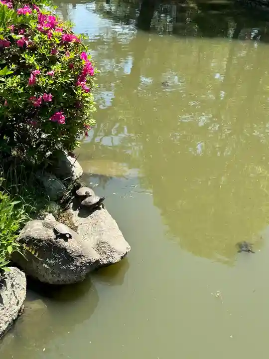 吉備津彦神社(岡山県)