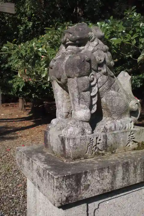 若狭彦神社(上社)の狛犬