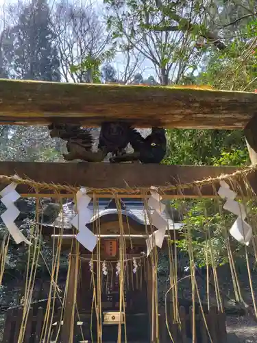 幣立神宮(熊本県)