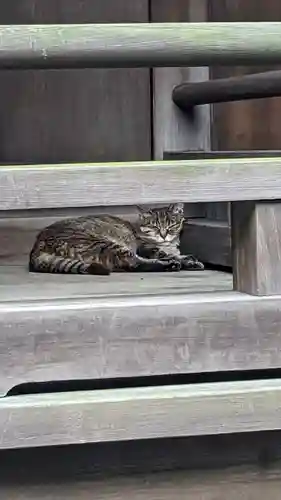 太田姫稲荷神社(東京都)