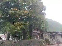 日抱神社(岐阜県)