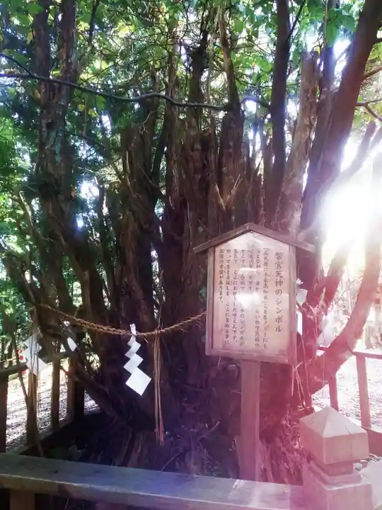 幣立神宮の自然