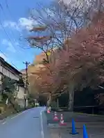 貴船神社結社(京都府)