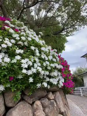 森・深江・青木 総氏神　稲荷神社の自然