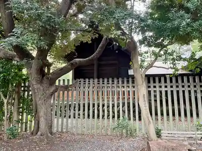 洲崎大神(神奈川県)