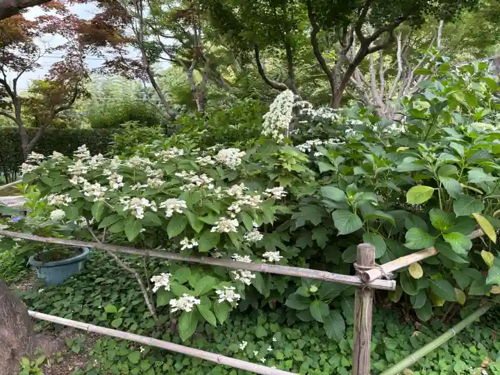 頼光寺(兵庫県)