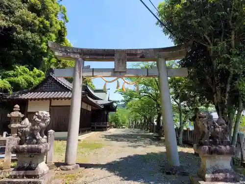 成松蛭子神社の鳥居