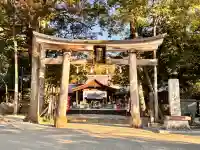 土佐神社の{uncategorized: "未分類", other: "その他", undefined: "問題あり", building: "その他建物", grave: "お墓", sacred_gate: "鳥居", guardian: "狛犬", statue: "像", buddha: "仏像", history: "歴史", nature: "自然", garden: "庭園", animal: "動物", pagoda: "塔", temizu: "手水舎", mountain_gate: "山門・神門", sanctuary: "本殿・本堂", subordinate: "末社・摂社", art: "芸術", scenery: "景色", jizo: "地蔵", ema: "絵馬", goshuin: "御朱印", omikuji: "おみくじ", items: "授与品その他", amulet: "お守り", goshuincho: "御朱印帳", eats: "食事", festival: "お祭り", votive_dance: "神楽", shichigosan: "七五三参", wedding: "結婚式", experience: "体験その他", initially: "初詣", around: "周辺", anti_infection: "感染症対策"}