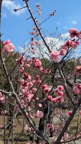 隨心院（随心院）(京都府)