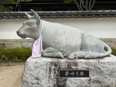 防府天満宮の{uncategorized: "未分類", other: "その他", undefined: "問題あり", building: "その他建物", grave: "お墓", sacred_gate: "鳥居", guardian: "狛犬", statue: "像", buddha: "仏像", history: "歴史", nature: "自然", garden: "庭園", animal: "動物", pagoda: "塔", temizu: "手水舎", mountain_gate: "山門・神門", sanctuary: "本殿・本堂", subordinate: "末社・摂社", art: "芸術", scenery: "景色", jizo: "地蔵", ema: "絵馬", goshuin: "御朱印", omikuji: "おみくじ", items: "授与品その他", amulet: "お守り", goshuincho: "御朱印帳", eats: "食事", festival: "お祭り", votive_dance: "神楽", shichigosan: "七五三参", wedding: "結婚式", experience: "体験その他", initially: "初詣", around: "周辺", anti_infection: "感染症対策"}