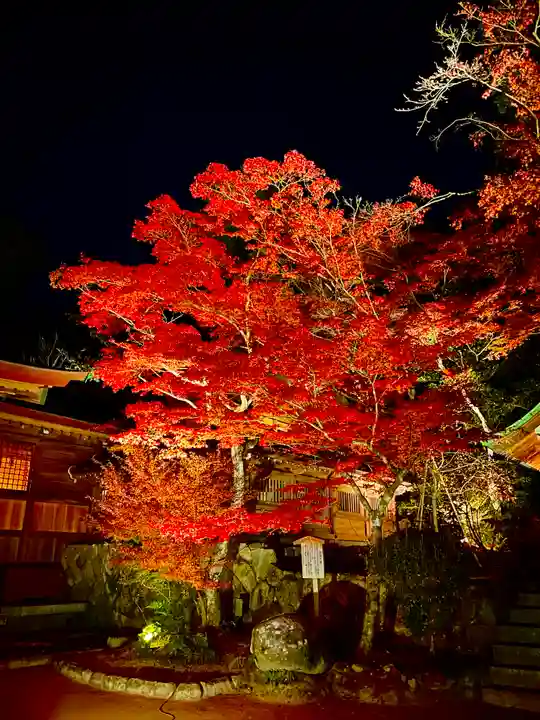 宝満宮竈門神社の自然