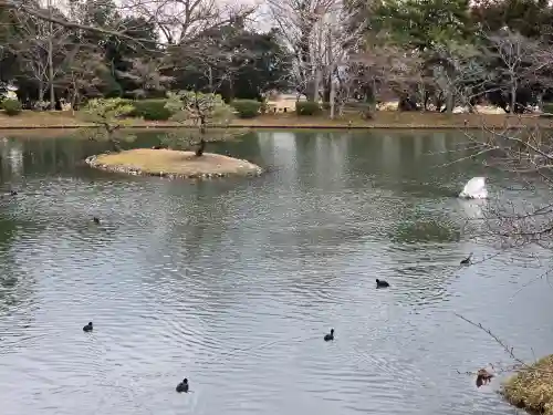 大覚寺(京都府)