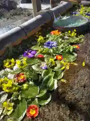 犀川神社の手水