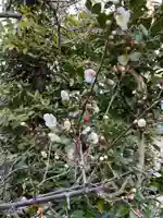 伊勢の国 四天王寺(三重県)