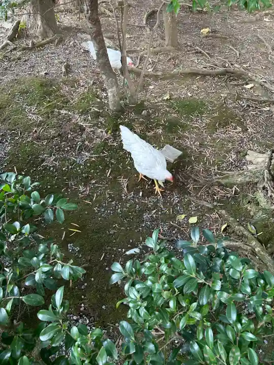 伊勢神宮内宮(三重県)