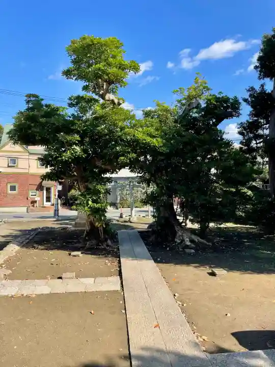 八坂大神(神奈川県)