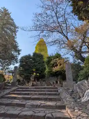 瑞円寺(東京都)
