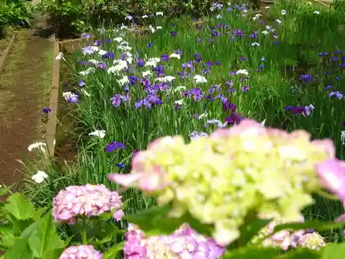 天台宗　長窪山　正覚寺の自然