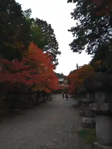 能仁寺(埼玉県)