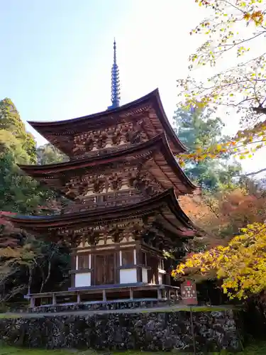 西明寺の塔