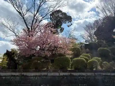 成田山新勝寺(千葉県)