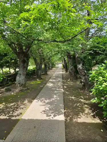 極楽寺（霊鷲山感應院極楽律寺）の景色