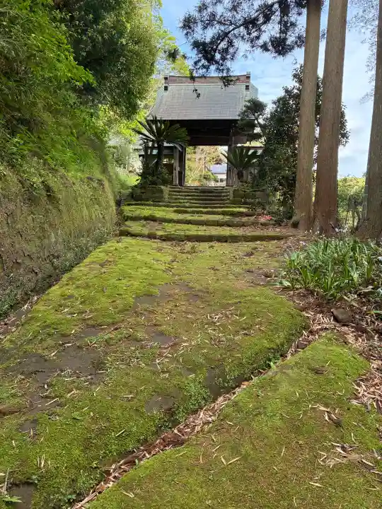 智蔵寺の{uncategorized: "未分類", other: "その他", undefined: "問題あり", building: "その他建物", grave: "お墓", sacred_gate: "鳥居", guardian: "狛犬", statue: "像", buddha: "仏像", history: "歴史", nature: "自然", garden: "庭園", animal: "動物", pagoda: "塔", temizu: "手水舎", mountain_gate: "山門・神門", sanctuary: "本殿・本堂", subordinate: "末社・摂社", art: "芸術", scenery: "景色", jizo: "地蔵", ema: "絵馬", goshuin: "御朱印", omikuji: "おみくじ", items: "授与品その他", amulet: "お守り", goshuincho: "御朱印帳", eats: "食事", festival: "お祭り", votive_dance: "神楽", shichigosan: "七五三参", wedding: "結婚式", experience: "体験その他", initially: "初詣", around: "周辺", anti_infection: "感染症対策"}