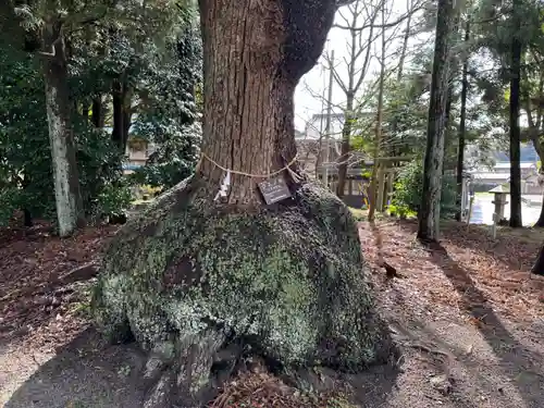 入見神社(愛知県)