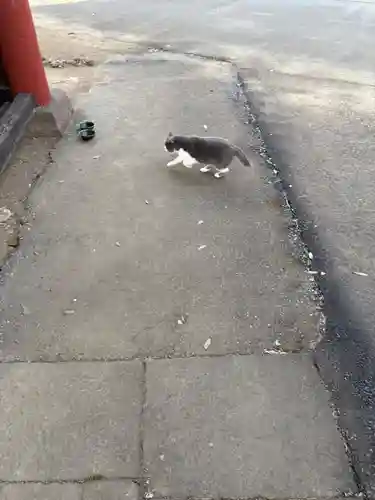 万徳寺(群馬県)