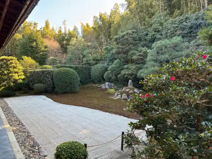 芬陀院の{uncategorized: "未分類", other: "その他", undefined: "問題あり", building: "その他建物", grave: "お墓", sacred_gate: "鳥居", guardian: "狛犬", statue: "像", buddha: "仏像", history: "歴史", nature: "自然", garden: "庭園", animal: "動物", pagoda: "塔", temizu: "手水舎", mountain_gate: "山門・神門", sanctuary: "本殿・本堂", subordinate: "末社・摂社", art: "芸術", scenery: "景色", jizo: "地蔵", ema: "絵馬", goshuin: "御朱印", omikuji: "おみくじ", items: "授与品その他", amulet: "お守り", goshuincho: "御朱印帳", eats: "食事", festival: "お祭り", votive_dance: "神楽", shichigosan: "七五三参", wedding: "結婚式", experience: "体験その他", initially: "初詣", around: "周辺", anti_infection: "感染症対策"}