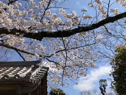 布施弁天 東海寺(千葉県)
