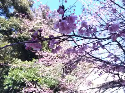 白山神社(静岡県)