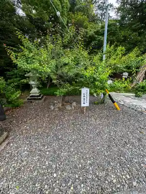 矢奈比賣神社（見付天神）(静岡県)