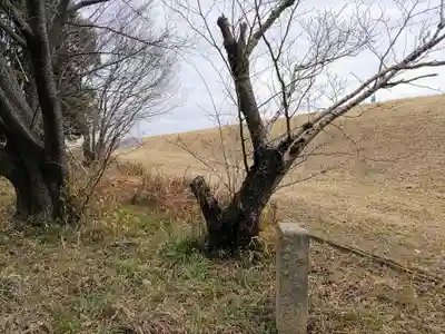 春日神社の周辺