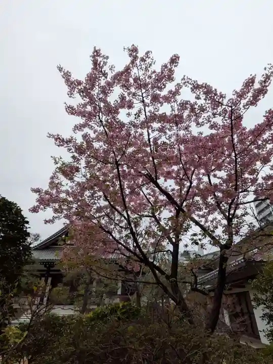 源空寺(東京都)