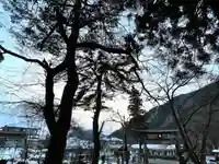 山家神社の自然