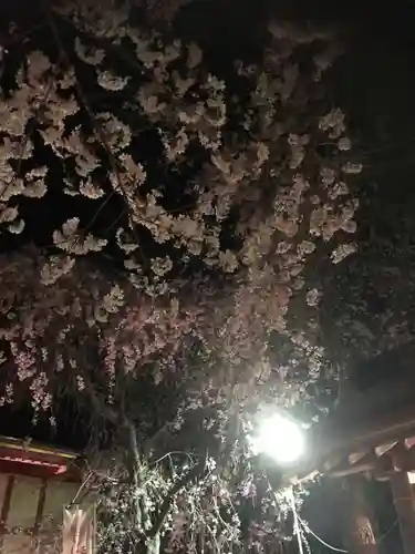 正一位 若草稲荷神社の自然