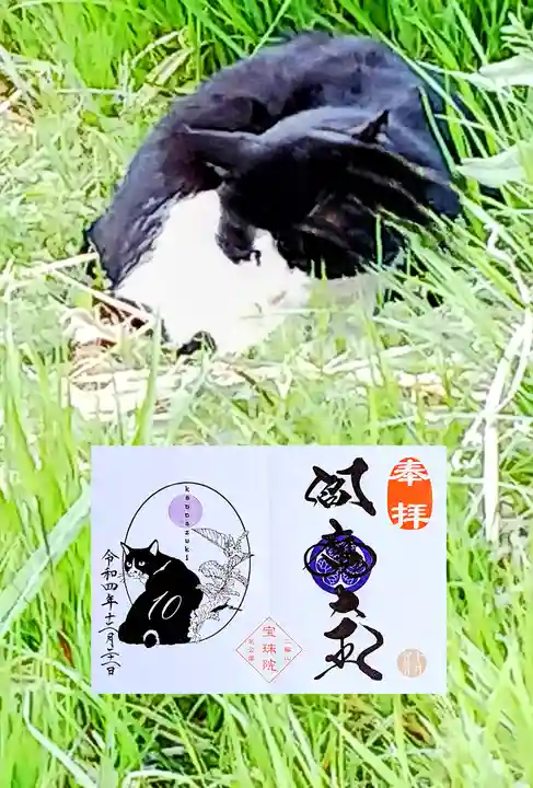 増上寺塔頭 三縁山 宝珠院の動物