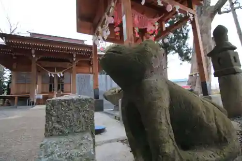 阿久津「田村神社」（郡山市阿久津町）旧社名：伊豆箱根三嶋三社の狛犬