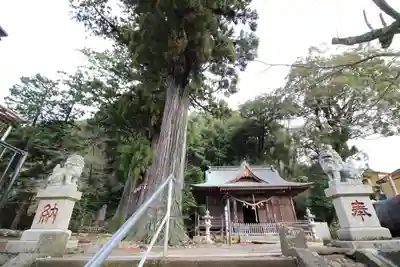 日枝神社(静岡県)