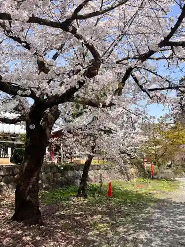 寒河江八幡宮の自然