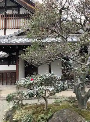 新德禅寺 (新徳寺)(京都府)