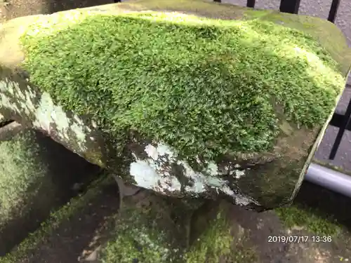 高輪神社の自然