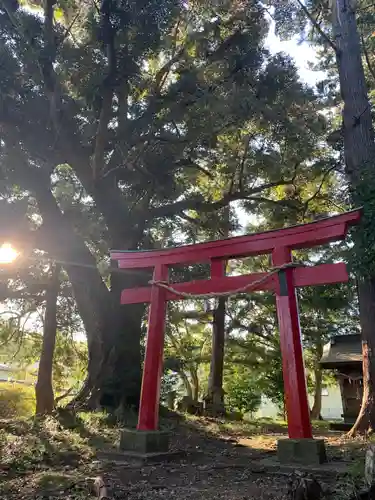 三嶋神社の鳥居